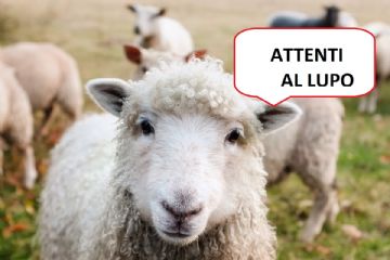 Comunicato importante - presenza di Lupi sul territorio Comunale e zone limitrofe
